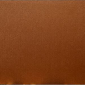Shehnai Arts Wooden Back Panel